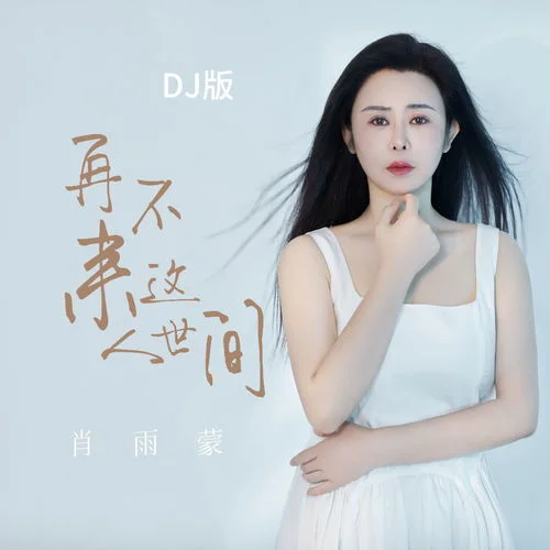 再不來這人世間 (DJ版)-肖雨蒙