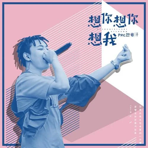 想你想你想我-巴音汗