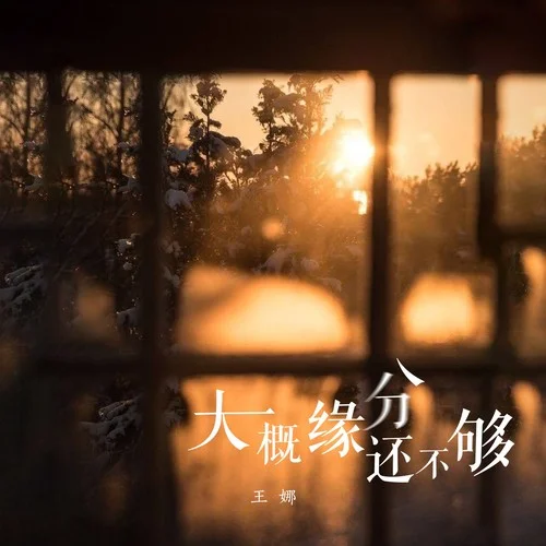 大概緣分還不夠-王娜