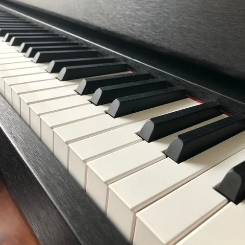 夢(mèng)中的婚禮 (cover: 理查德克萊德曼)-497000208