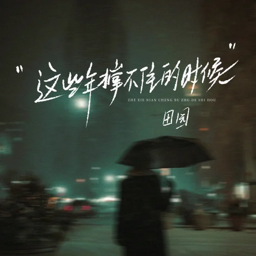 這些年撐不住的時候-田園