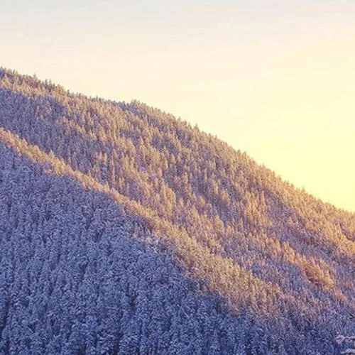 這才是人生難預(yù)料-岑思衡