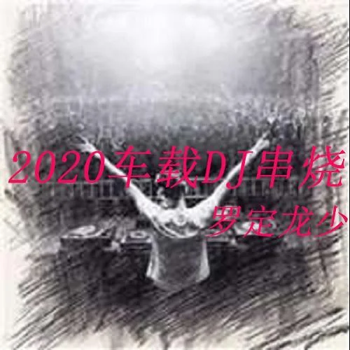2020最新中文彈豉版DJ串燒-羅定龍少