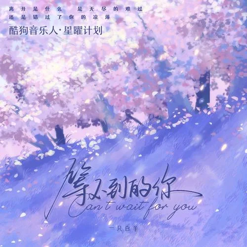 等不到的你-一只白羊