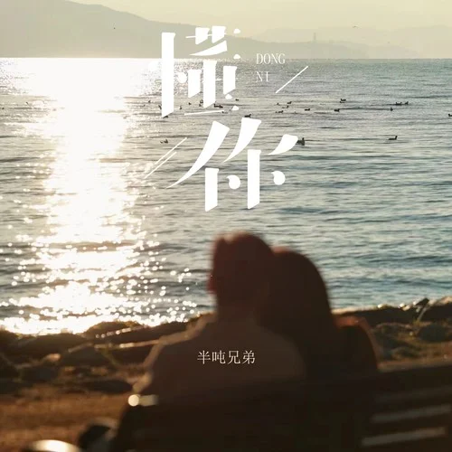 懂你(煙嗓版)-半噸兄弟