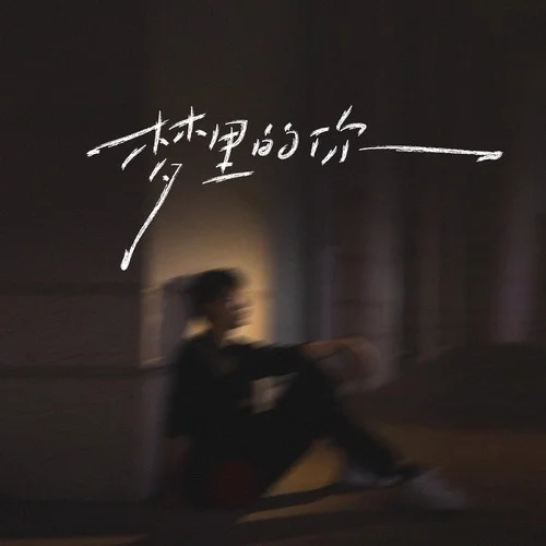 夢里的你（夢里的夢夢里的你）-韓小欠