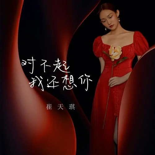 對不起我還想你-崔天琪