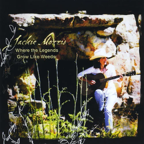 Moth to a Flame-Jackie Morris