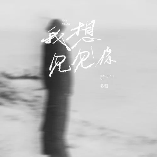 我想见见你-姜珊