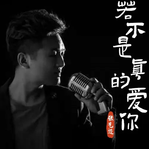 若不是真的愛你（DJ默涵版）-張藝邁