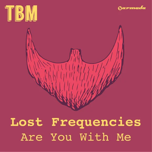 Are You With Me-Lost Frequencies