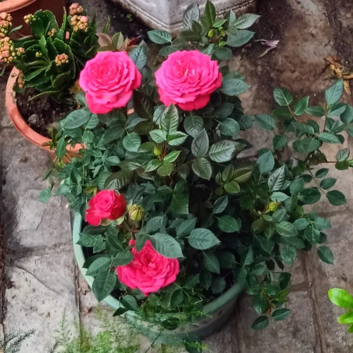 此生不換 (cover: 汪蘇瀧|吉克雋逸)-好吧拜拜90