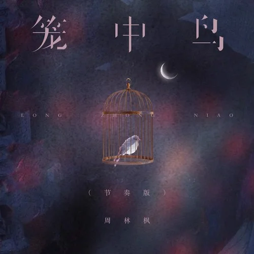 籠中鳥 (節(jié)奏版)-周林楓