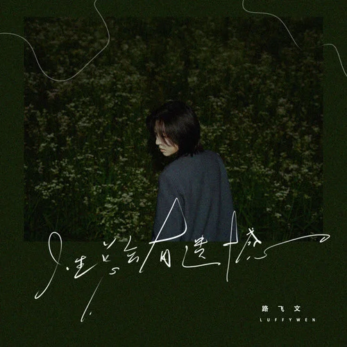 人生總會(huì)有遺憾（對嗎）-路飛文