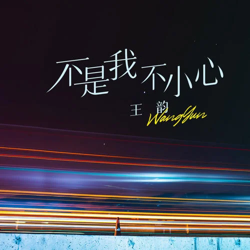 不是我不小心-王韻
