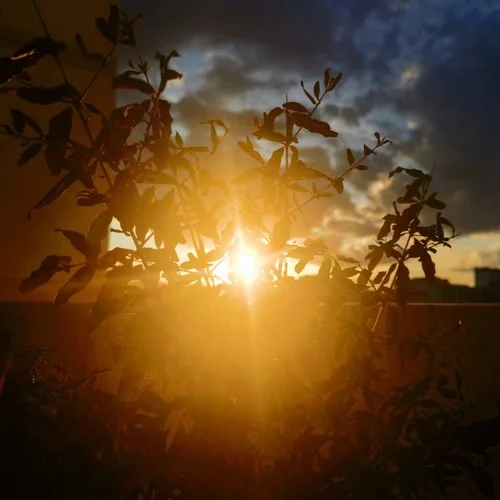 人生使用說明-tsy