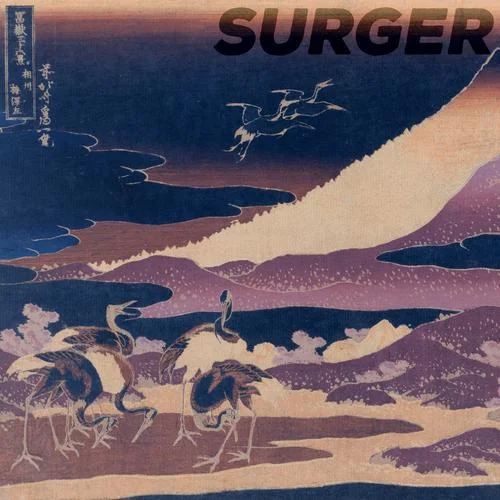 Heart-Shaped Box(Explicit)-Surger