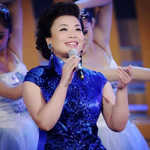 茉莉花(純音樂)-張也