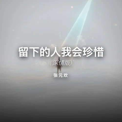 留下的人我會(huì)珍惜 (深情版)-張?jiān)獨(dú)g