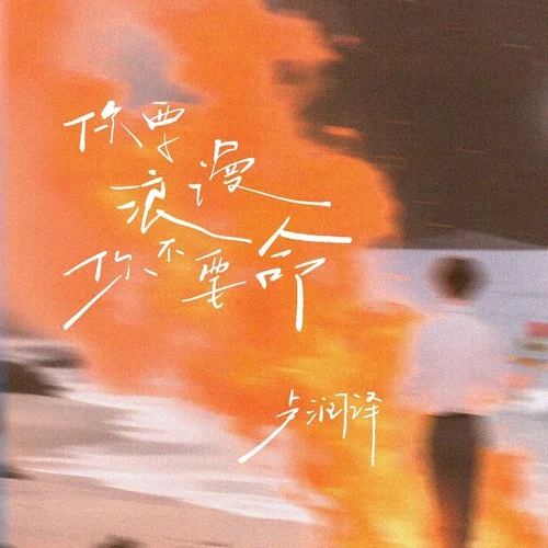 你要浪漫你不要命-盧潤澤