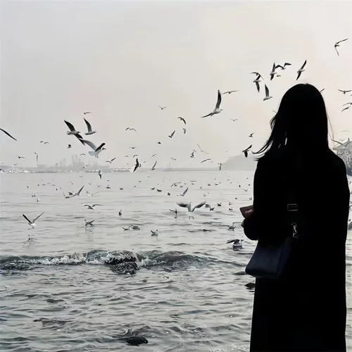 Colder Than Ice(汽車搖)-波比的糖