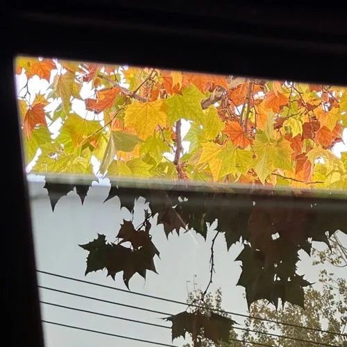 逝去的愛(ài)(Love is over)-大頭針