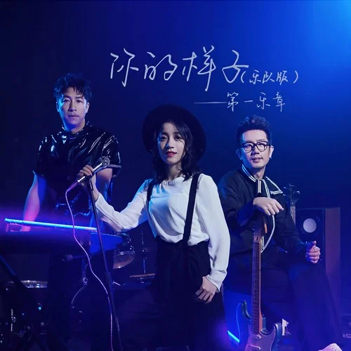 你的樣子(樂隊版)-第一樂章