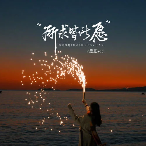 所求皆所愿-黑豆ado