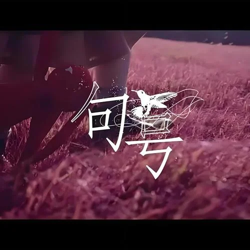 困在我青春里的人-沈孝