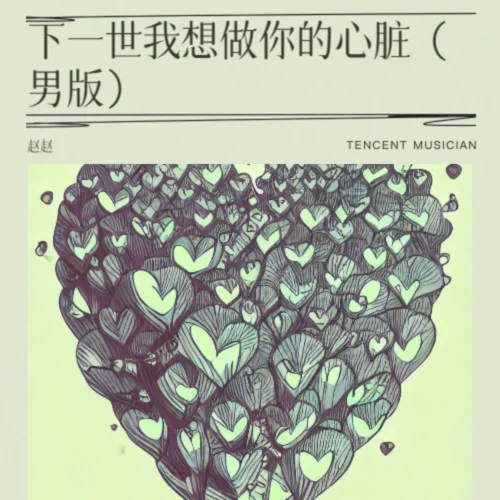 下一世我想做你的心脏（男版）-赵赵
