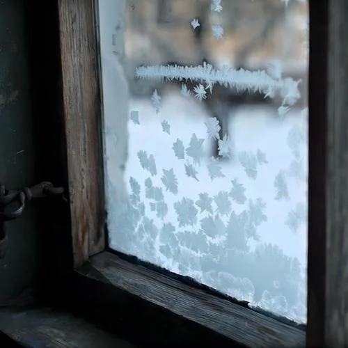 Snow before Spring-羽腫