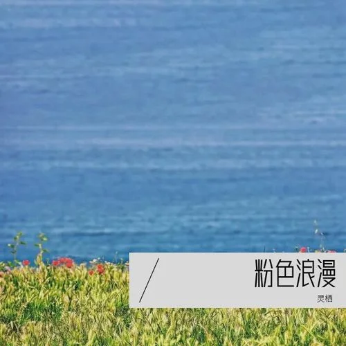 想你的時(shí)候想摸摸你的頭-靈棲