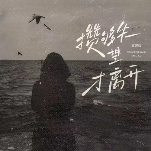 攒够失望才离开-高媛媛