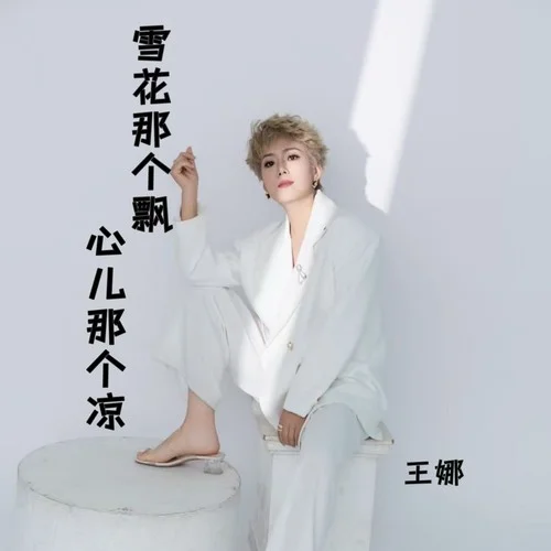 雪花那個飄（心兒那個涼DJ長夢版）-王娜