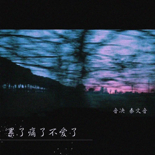 累了痛了不愛(ài)了(DJ版)-音決&秦文音