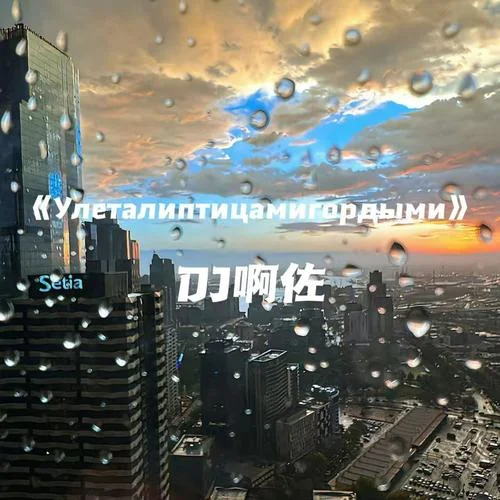 Улеталиптицамигордыми (混音DJ版)-DJ啊佐