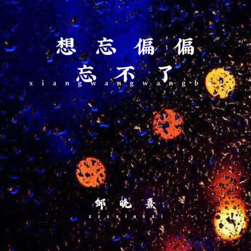 想忘偏偏忘不了-鄒曉熹