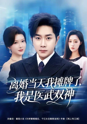 離婚當天我攤牌了，我是醫(yī)武雙神（80集）楊然＆尹竹 - 短劇資源下載