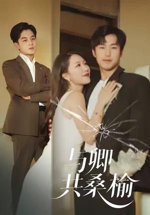 與卿共桑榆（63集）賀龍?zhí)欤︾娂瘟? src=