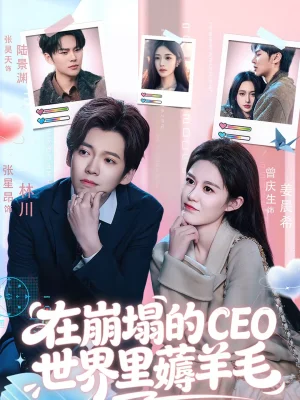 在崩塌的CEO世界里薅羊毛（70集）張星昂＆曾慶生 - 短劇資源下載