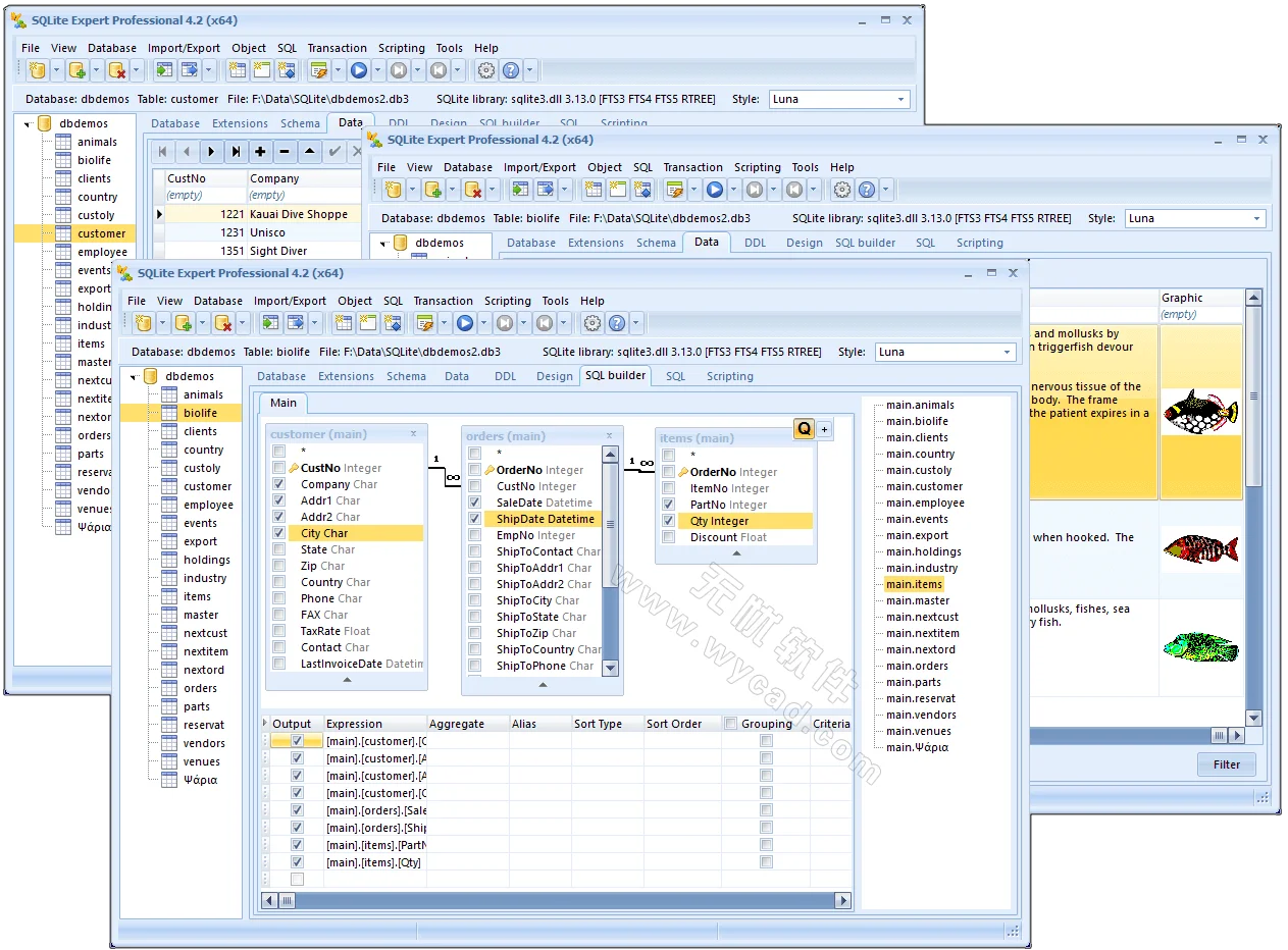 數(shù)據(jù)庫(kù)管理工具 | SQLite Exper Professional v5.5.41.652 綠色便攜版
