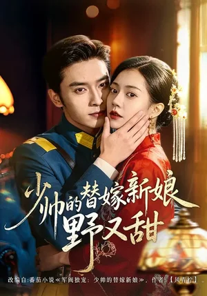 少帥的替嫁新娘野又甜（60集）王博&孫婉晴 - 短劇資源下載