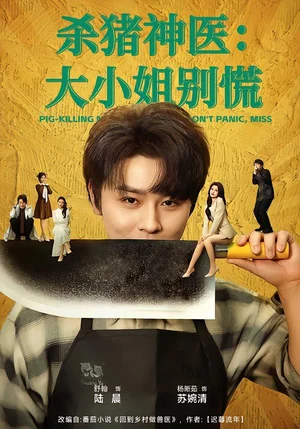殺豬神醫(yī)：大小姐別慌（80集）舒瀚＆楊晰茹 - 短劇資源下載