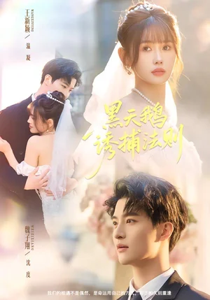 黑天鵝誘捕法則（80集）魏子翔＆王新穎 - 短劇資源下載