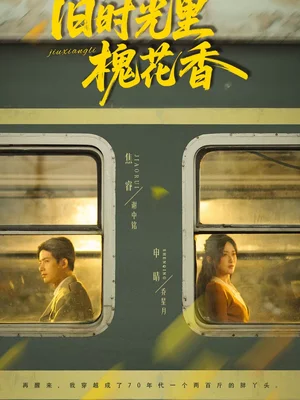 舊時(shí)光里槐花香（70集）申晴＆焦睿