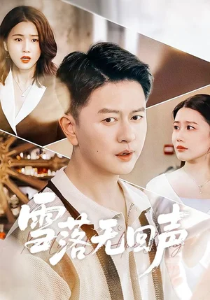 雪落無(wú)回聲（60集）雷鵬宇＆周穎 - 短劇資源下載