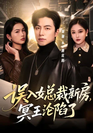 誤入女總裁新房，冥王淪陷了（80集）吳昊＆張亞迪