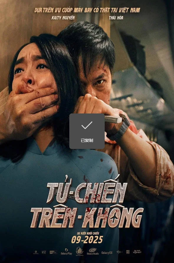 越南電影《空中決戰(zhàn)》 [2025][動作 驚悚] 豆瓣7.2 [夸克網(wǎng)盤] - 電影夸克網(wǎng)盤下載