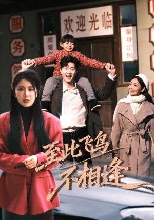 到此飛鳥不相逢（70集）王鵬&丁海霞