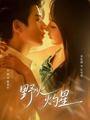 野火灼星（56集）左銘＆李若琪